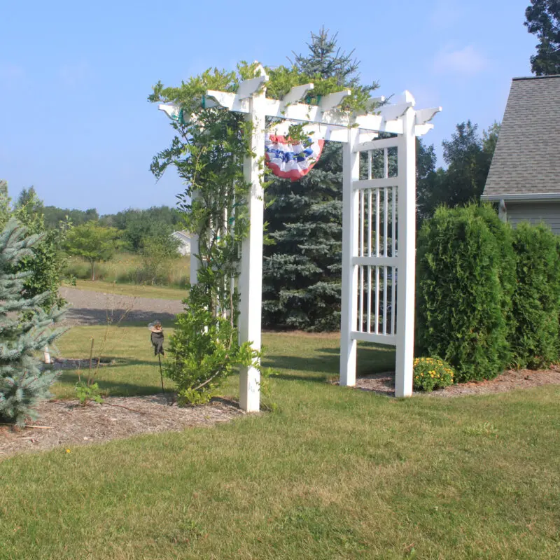 White arbor in landscaped garden