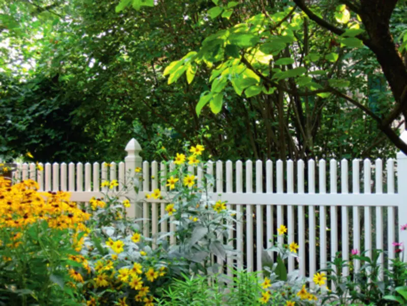White picket fence garden flowers